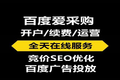 谷歌SEM案例研究：数据分析与效果评估